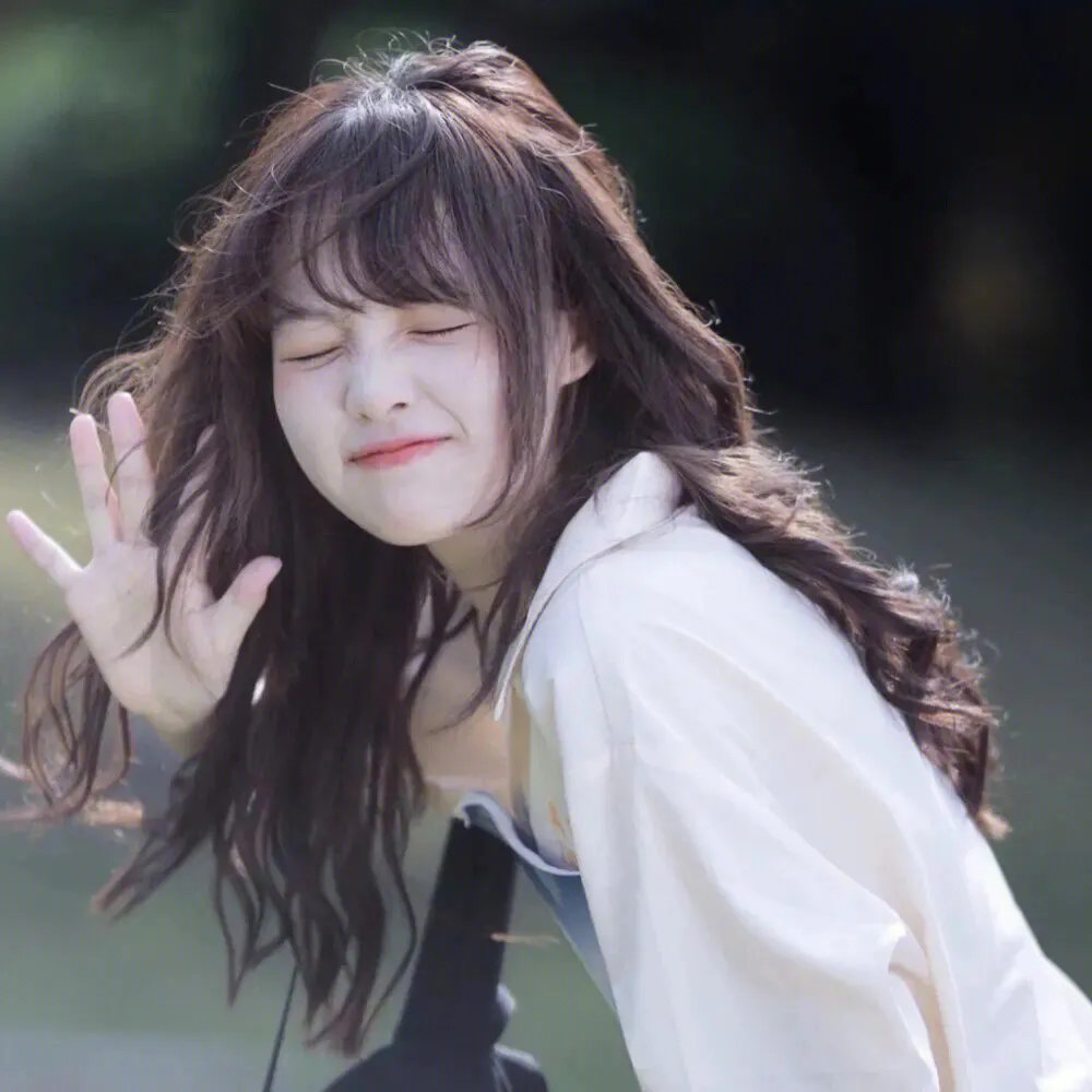 龟甲秘事之拨云见日